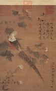 Zhao Ji Hibiscus and Golden Pheasant